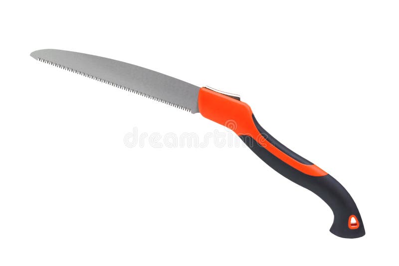 Kiwi plantation stock photo. Image of tree, zealand, fruit 42400998