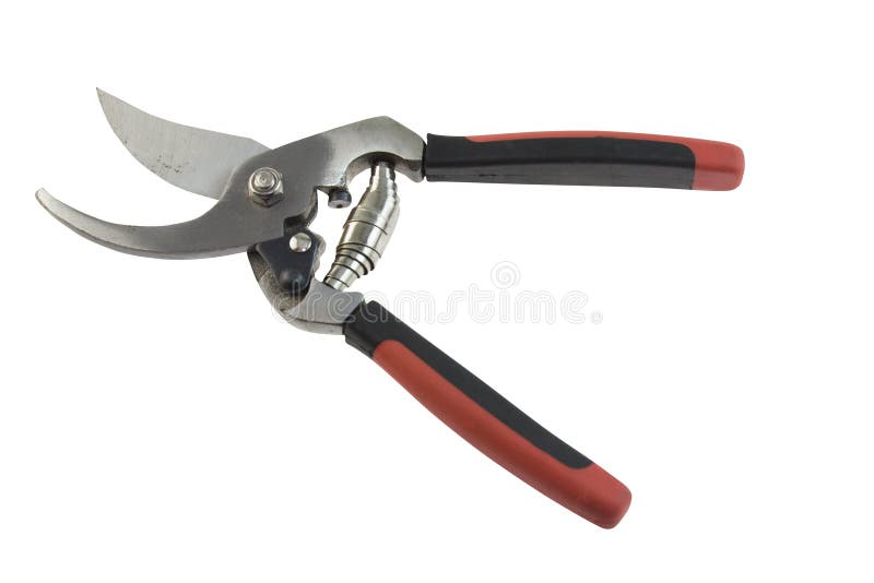 Pruning shears stock photo