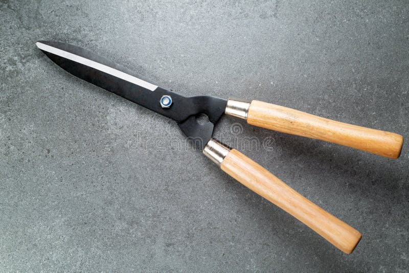 Pruning Shears Tool for Cut Your Plant Stock Photo Image of bushes