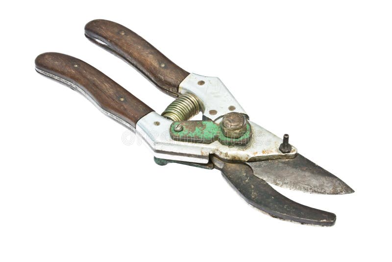 Pruning Shears