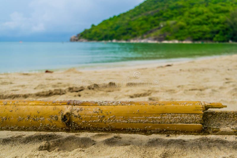 Przegrany bambus przy Koh Phangan obrazy royalty free Przegrany bambus przy Koh Phangan obrazy royalty free