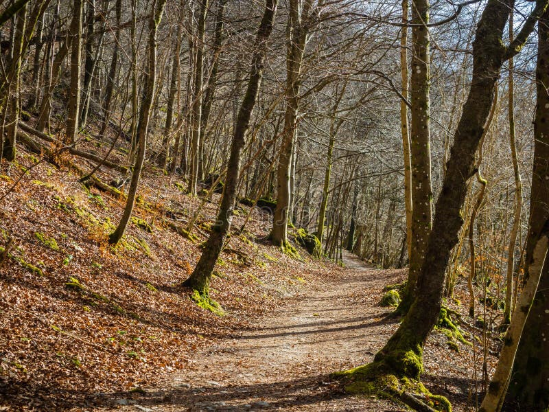 20.03.2022 Kiliecrankie, Perthshire, Scotland, UK. Three miles north of Pitlochry by the A9 road, the Pass of Killiecrankie, is a gorge lying between Ben Vrackie and Tenandry Hill. 20.03.2022 Kiliecrankie, Perthshire, Scotland, UK. Three miles north of Pitlochry by the A9 road, the Pass of Killiecrankie, is a gorge lying between Ben Vrackie and Tenandry Hill