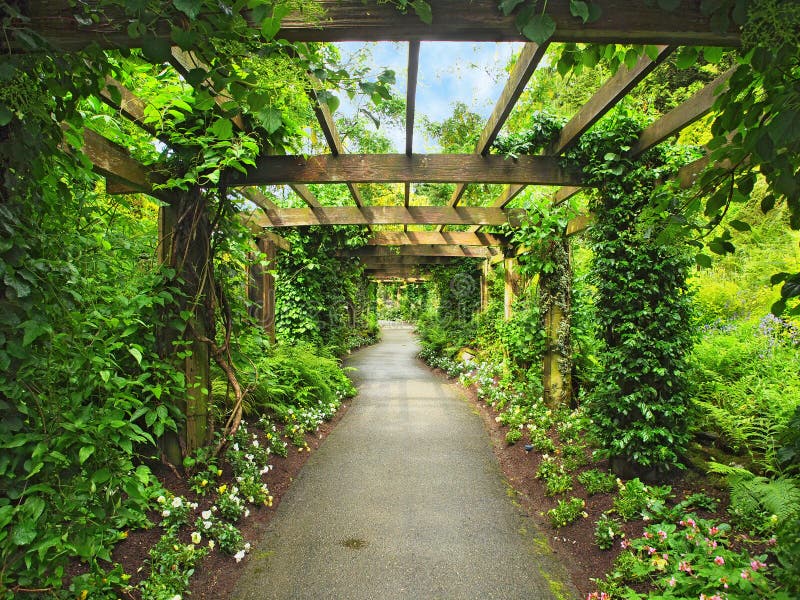 przejście pergola obraz royalty free przejście pergola obraz royalty free