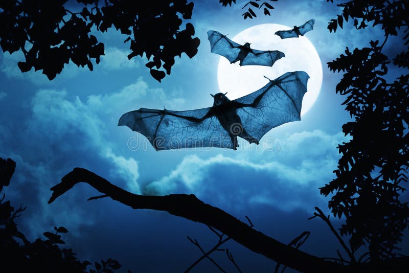 Przerażający nietoperze Latają Wewnątrz Dla Halloweenowej nocy księżyc w pełni obrazy royalty free