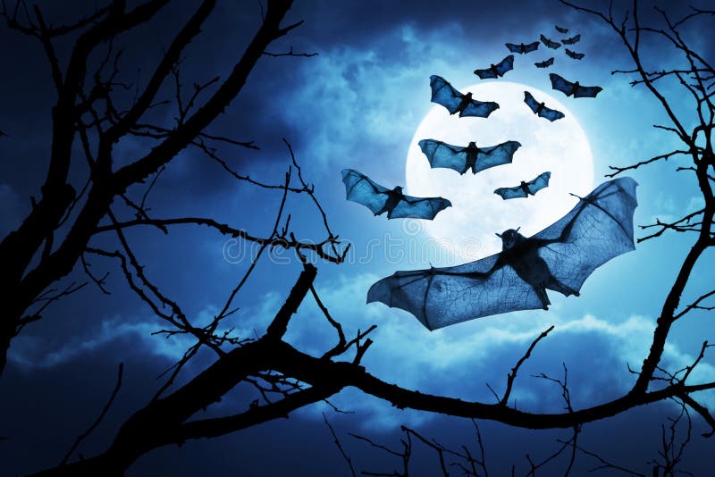 Przerażający nietoperze Latają Wewnątrz Dla Halloweenowej nocy księżyc w pełni zdjęcie stock