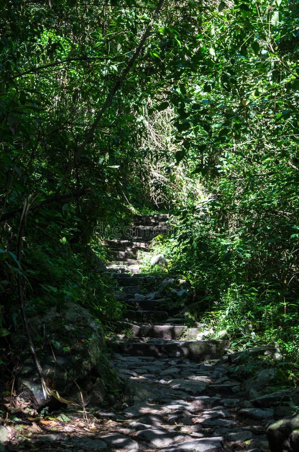 Przygoda Trekking na inka śladzie Mach Picchu, Peru zdjęcie royalty free Przygoda Trekking na inka śladzie Mach Picchu, Peru zdjęcie royalty free