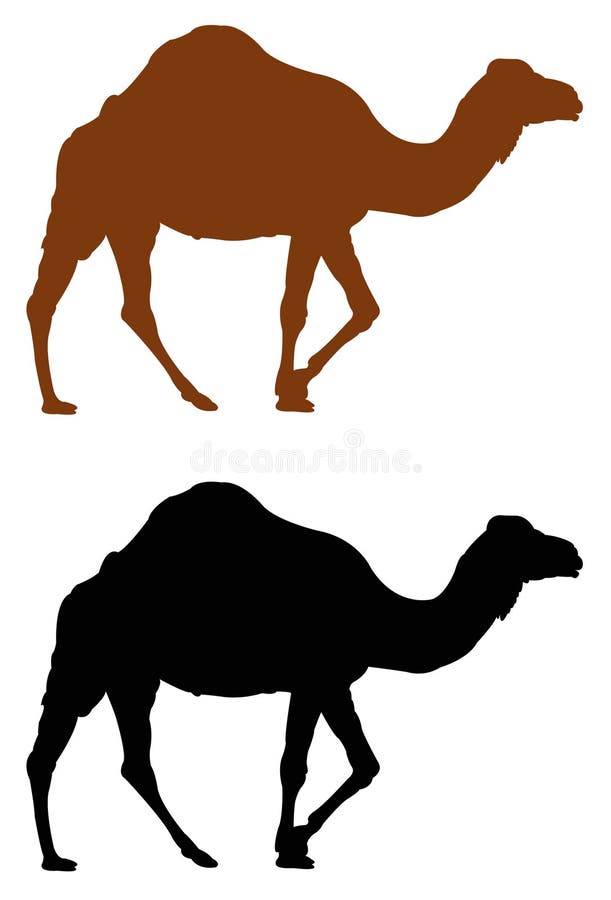 Przyroda safari zwierzę - wielbłądzia sylwetka ilustracja wektor Przyroda safari zwierzę - wielbłądzia sylwetka ilustracja wektor