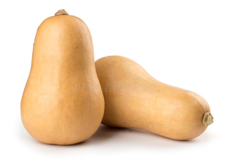 Przyrodni Butternut kabaczek obrazy stock Przyrodni Butternut kabaczek obrazy stock