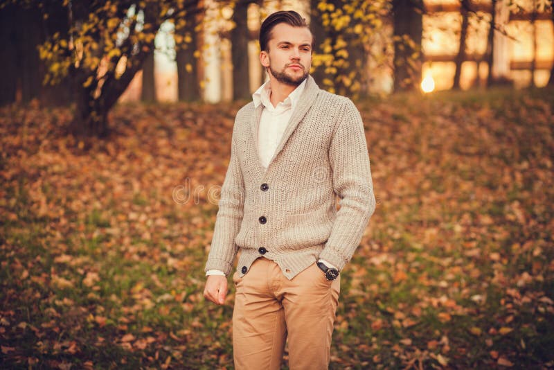 przystojny mężczyzna portret zdjęcie stock przystojny mężczyzna portret zdjęcie stock