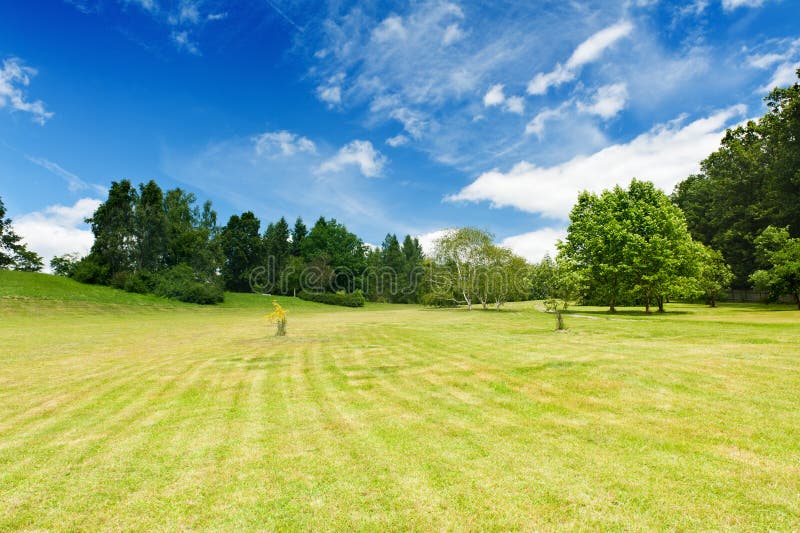 Beautiful vivid green meadow is surrounded by a forest and a blue cloudy sky. Beautiful vivid green meadow is surrounded by a forest and a blue cloudy sky