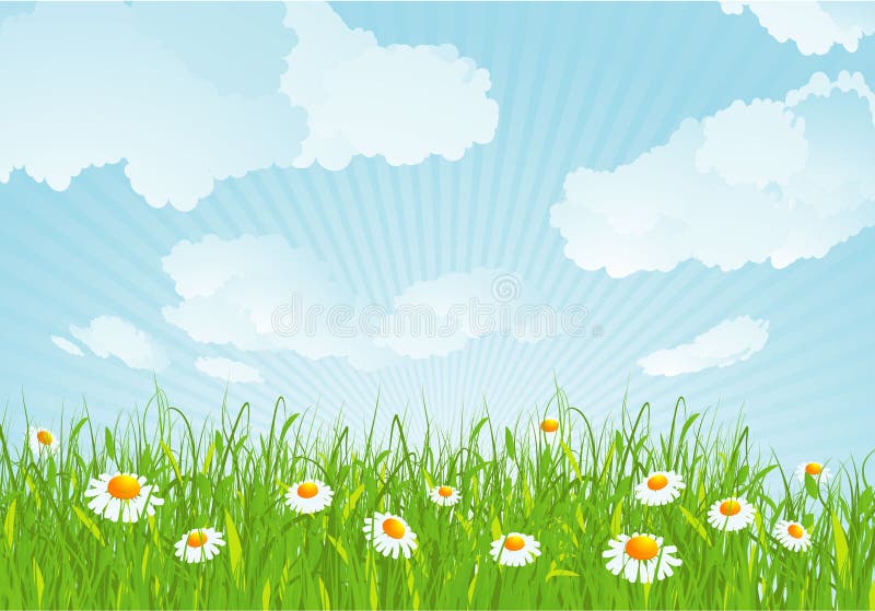 Pré d'été. Fond de vecteur. illustration de vecteur Pré d'été. Fond de vecteur. illustration de vecteur