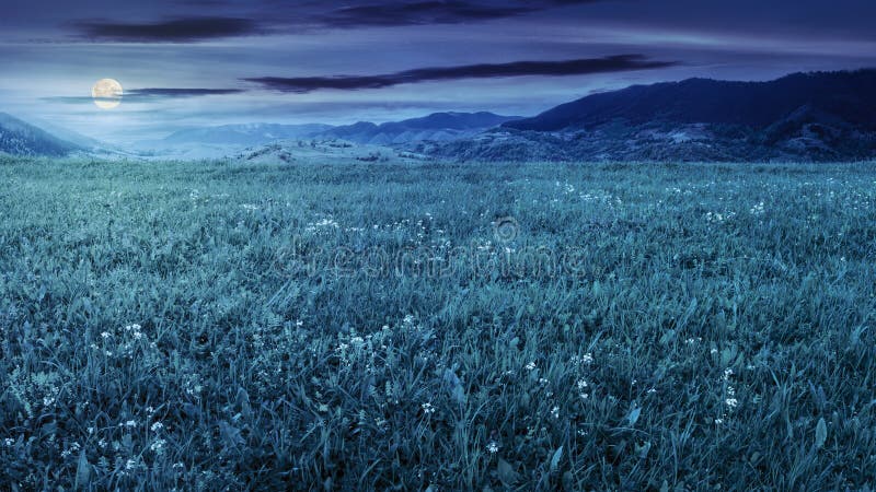 Pré frais d'herbe près des montagnes la nuit photos libres de droits Pré frais d'herbe près des montagnes la nuit photos libres de droits