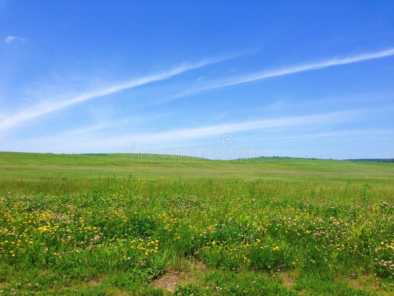 Pré herbeux et ciel bleu photos libres de droits Pré herbeux et ciel bleu photos libres de droits