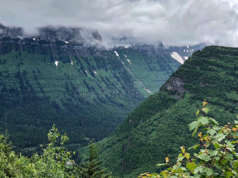 Prés verts avec le brouillard au sommet du parc national de glacier au Montana photo stock Prés verts avec le brouillard au sommet du parc national de glacier au Montana photo stock