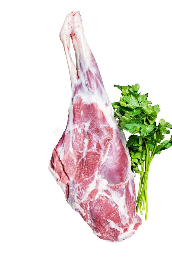 Ready for cooking raw lamb mutton leg with Thigh. Isolated, white background. Ready for cooking raw lamb mutton leg with Thigh. Isolated, white background