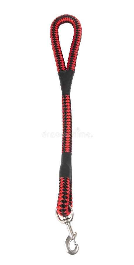 psi smycz zdjęcia stock psi smycz zdjęcia stock