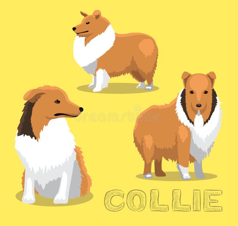 Psia Collie kreskówki wektoru ilustracja ilustracji Psia Collie kreskówki wektoru ilustracja ilustracji