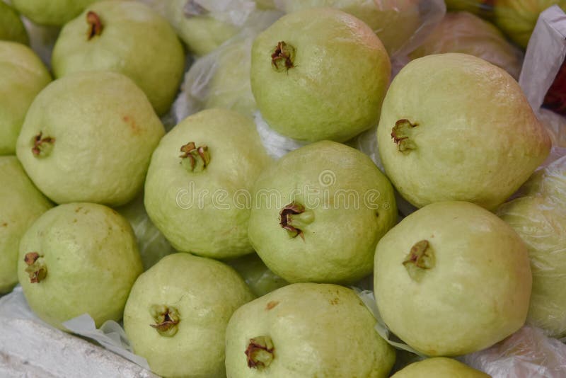 Psidium guajava świeży fotografia royalty free Psidium guajava świeży fotografia royalty free