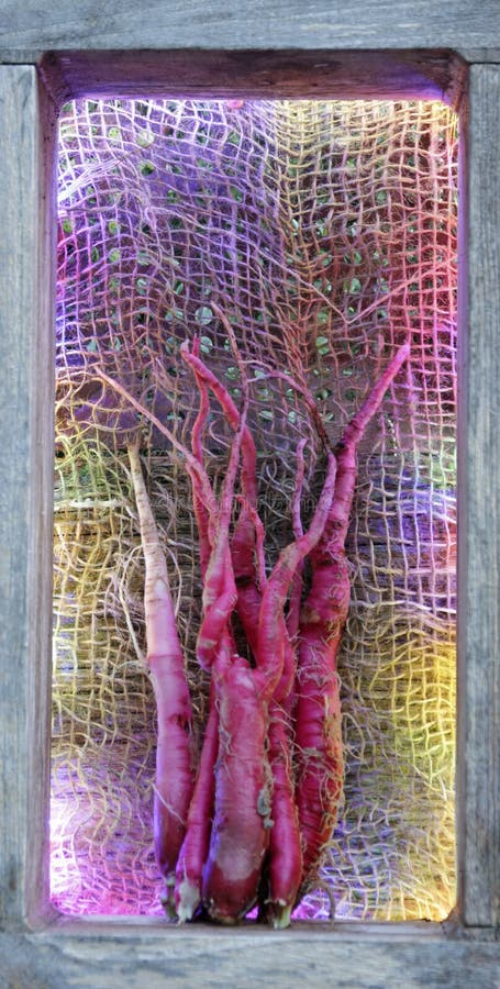 Psychedelic art: radishes candela di fuoco stock photos