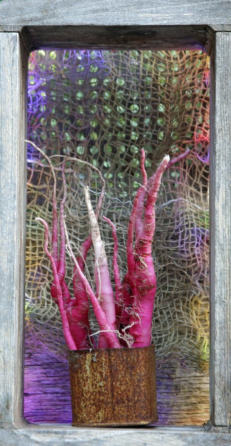 Psychedelic art: radishes candela di fuoco royalty free stock images