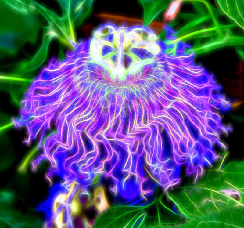 Psychedelic, Illuminated Purple Passion Flower vector illustration