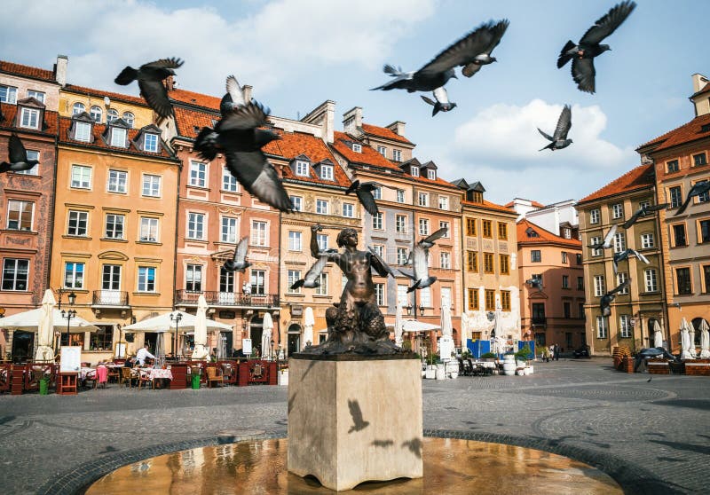 Ptaki gołębie latają przez gapienia Miasta Starego Grodzkiego Targowego kwadrata z syrenki Syreny statuą w Warszawa, Polska obraz stock Ptaki gołębie latają przez gapienia Miasta Starego Grodzkiego Targowego kwadrata z syrenki Syreny statuą w Warszawa, Polska obraz stock
