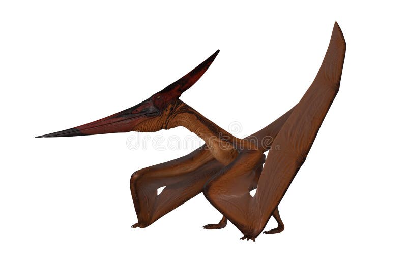 How Did Pteranodon Walk?