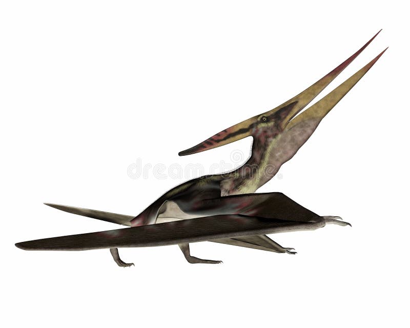 Pteranodon che cammina - 3D rendono royalty illustrazione gratis Pteranodon che cammina - 3D rendono royalty illustrazione gratis