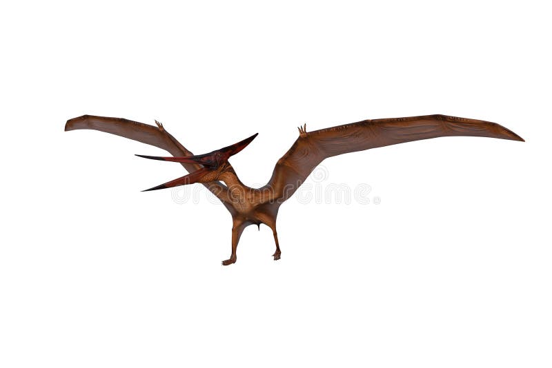 How Did Pteranodon Walk?