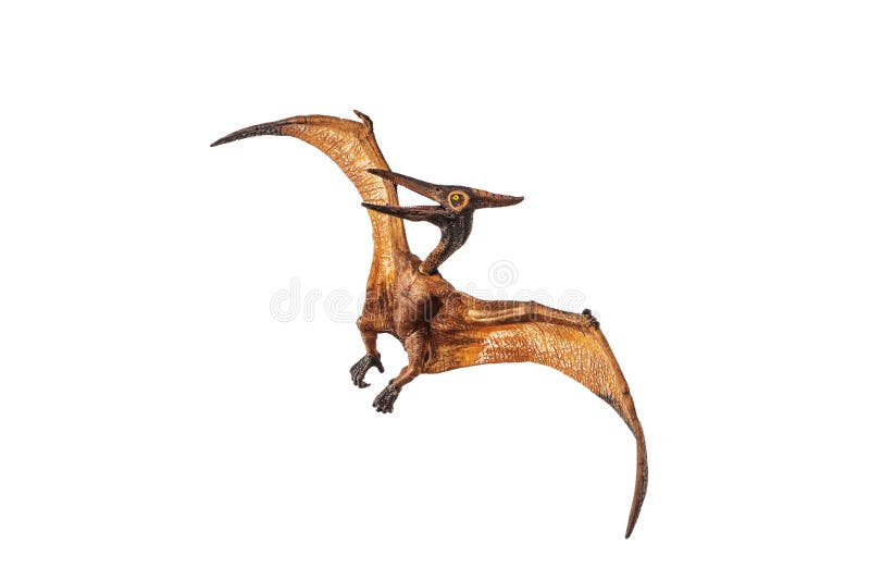 Pterodactyl isolated hi-res stock photography and images - Alamy