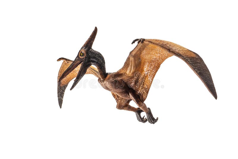 Pteranodon Pterodactyl Dinosaur on white background 8844204 PNG