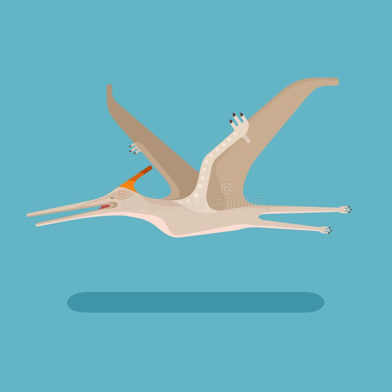 pterodactyloidea – Nix Illustration