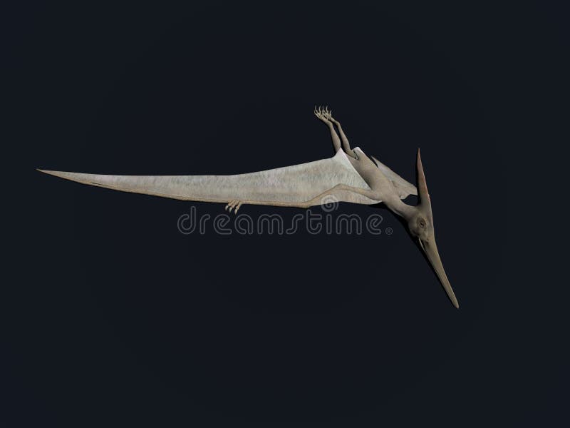 Pterodactyl stock photo. Image of brutal, archeopteryx - 45412668