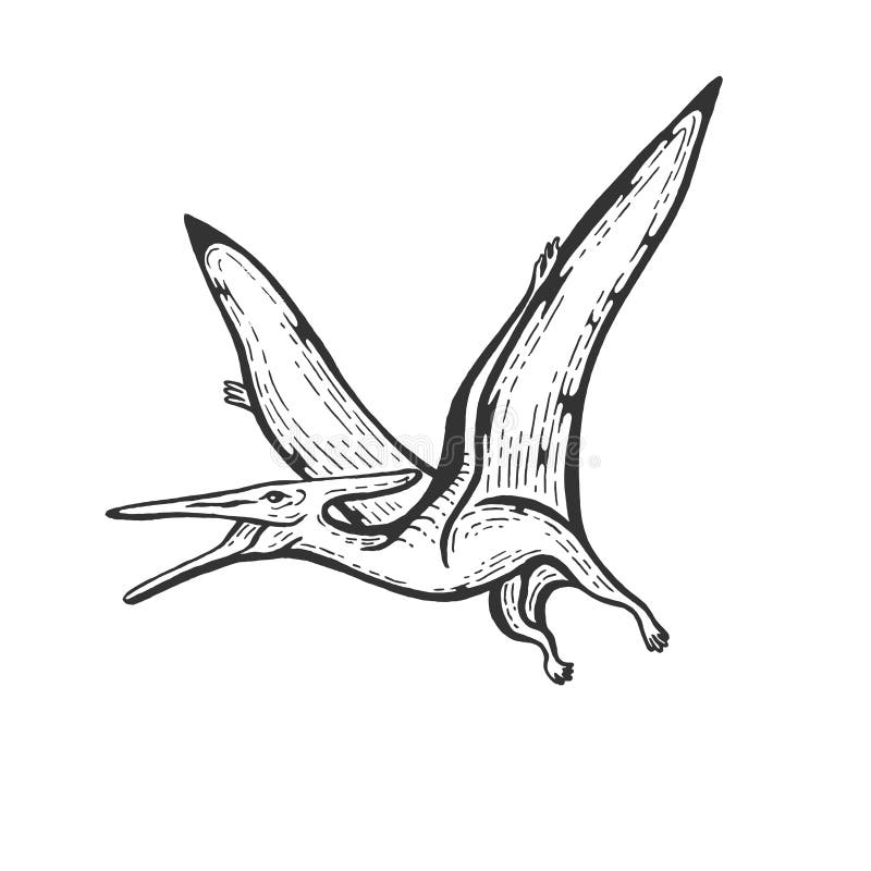 Pterodactyl Stock Illustrations – 5,741 Pterodactyl Stock Illustrations,  Vectors & Clipart - Dreamstime