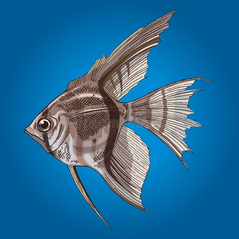 Fishing logo stock vector. Illustration of illustration - 90426571