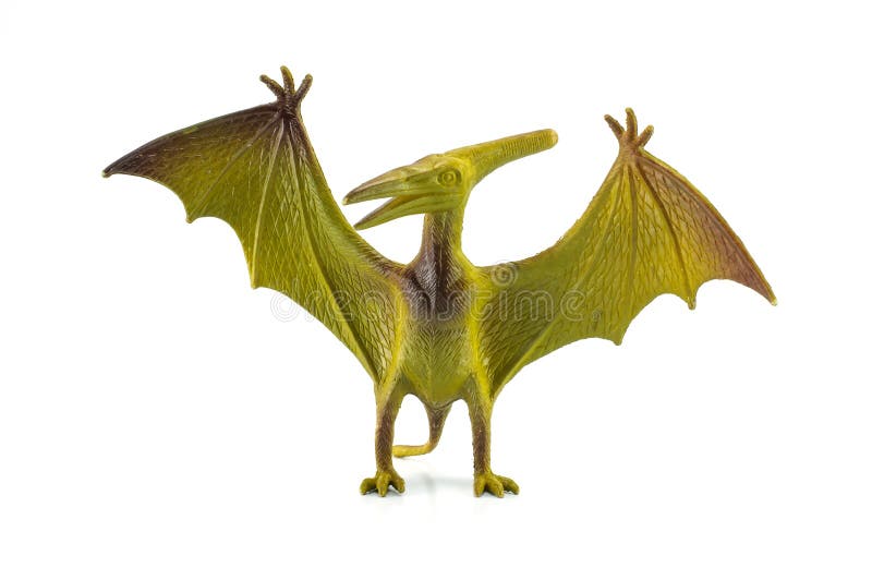 Pteranodon Pterodactyl Dinosaur on white background 8844315 PNG