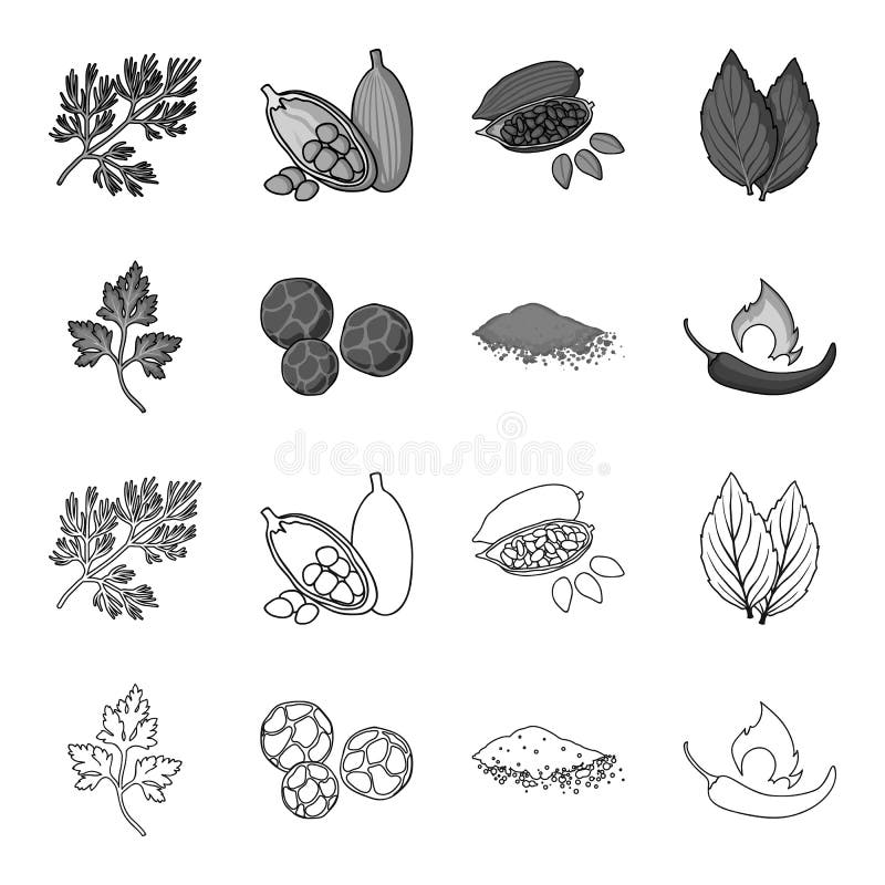 Ptrushka, black pepper, paprika, chili.Herbs and spices set collection icons in outline,monochrome style vector symbol stock illustration . Ptrushka, black pepper, paprika, chili.Herbs and spices set collection icons in outline,monochrome style vector symbol stock illustration .