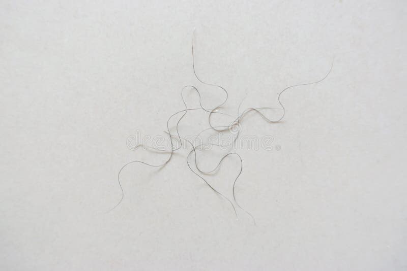 Pubic Hair Stock Photos Download 125 Royalty Free Photos