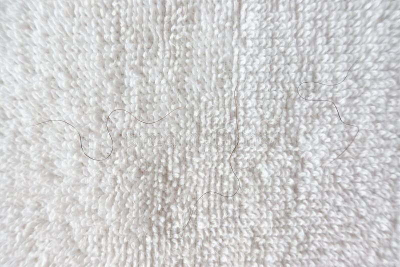 Woman Pubic Hair Stock Photos Download 72 Royalty Free Photos