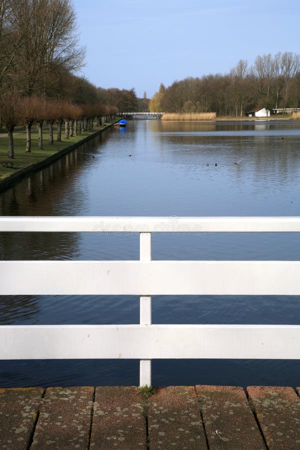 Public garden in The Hague