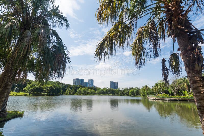 Park in the Big City. Place and Outdoors Concept. Nature and Landscape Bangkok Thailand Stock Image - of pond, nature: 149808923