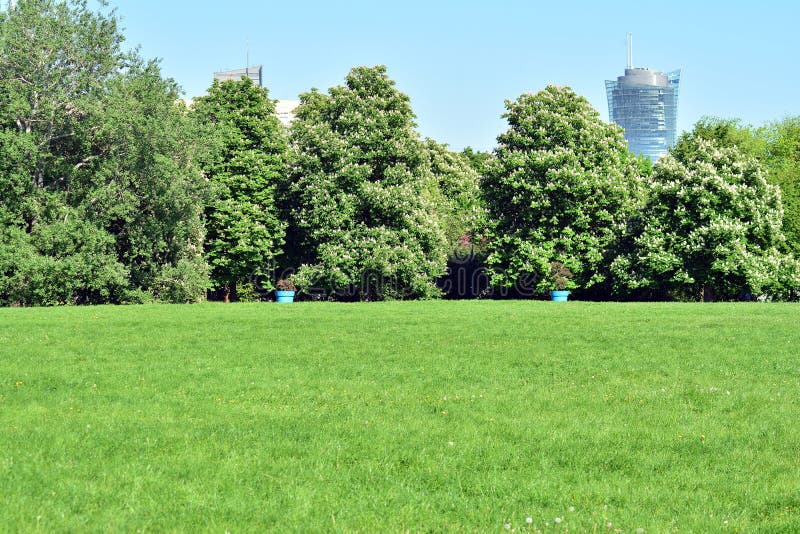 Public park with green grass field royalty free stock photos Public park with green grass field royalty free stock photos