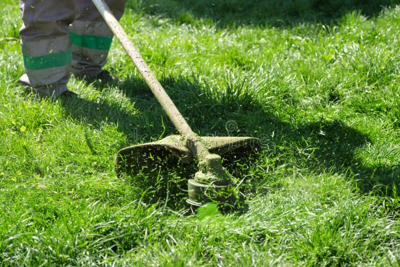 Public Services Mow the Grass in the Park Stock Photo Image of