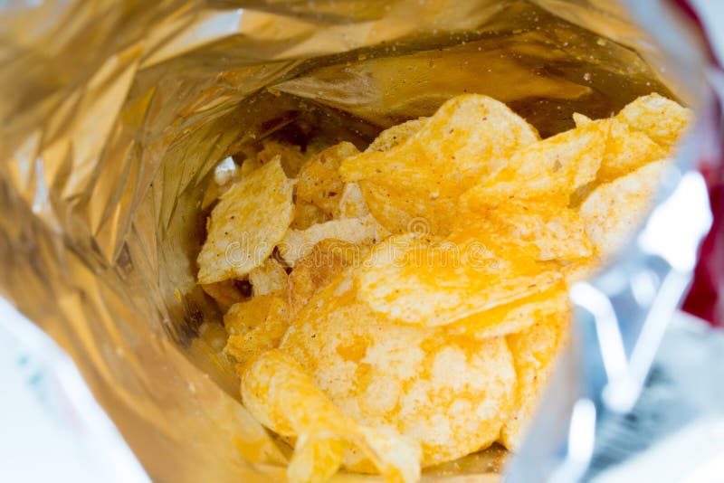 Puces photographie stock