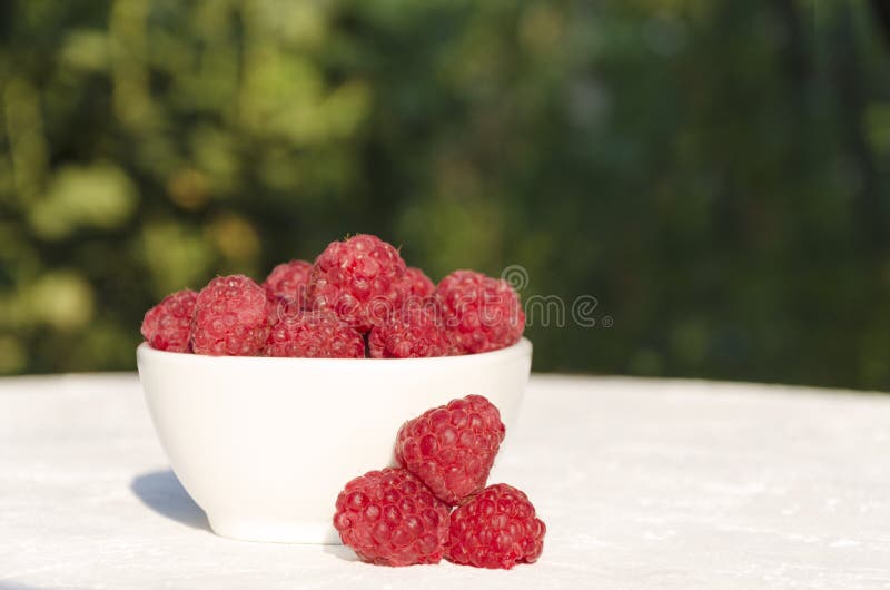 Puchar rasberries na białym stole w ogródzie Naturalny gr?e ?wiat?o zdjęcie stock Puchar rasberries na białym stole w ogródzie Naturalny gr?e ?wiat?o zdjęcie stock