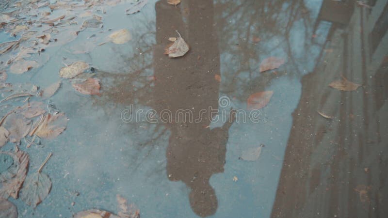 In the puddle on the street is reflected the girl in the coat. The girl looks in reflection smiling and laughing