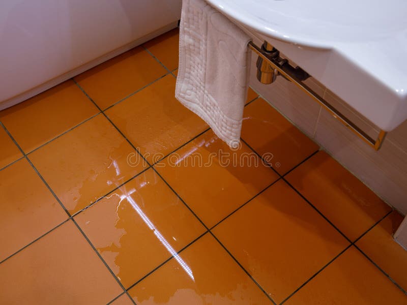 How to Repair and Prevent Bathroom Water Damage?