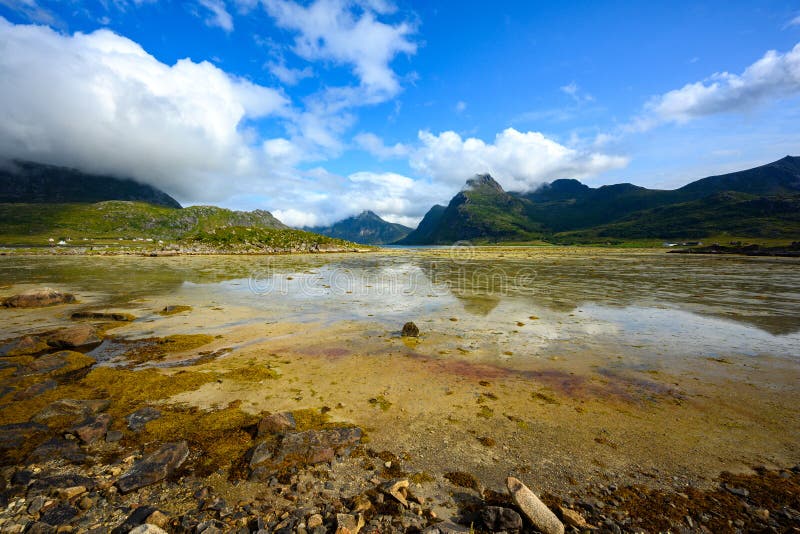 Puddles And Mountains During The Summer And Blue Sky At Lofoten Island