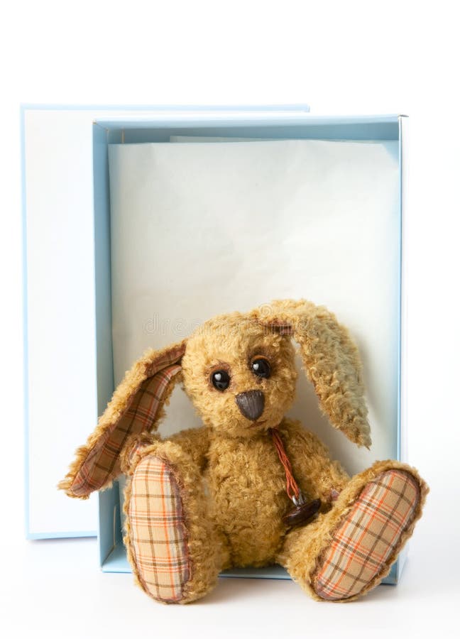 pudełkowatego królika ślicznego prezenta królika siedząca miękkiej części zabawka