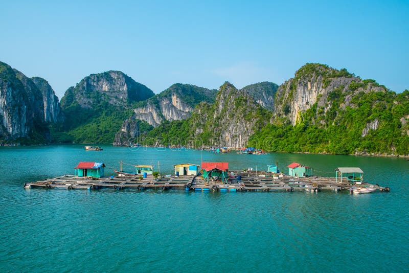 Pueblo pesquero flotante en la bahía de Halong fotos de archivo libres de regalías Pueblo pesquero flotante en la bahía de Halong fotos de archivo libres de regalías